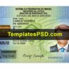 Brazil ID Card Template PSD Front