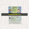 Brazil ID Card Template Scan Brasil Brazilian