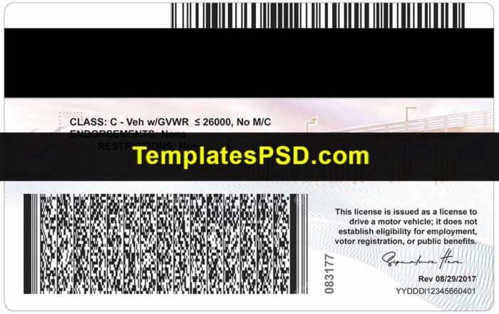 California Drivers License Template Back