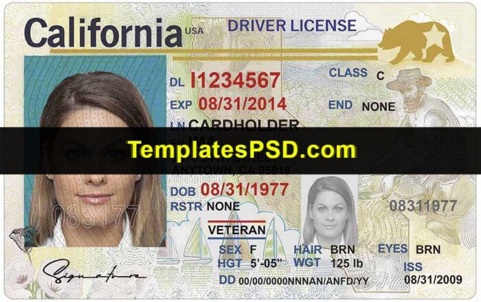 California Drivers License Template Back Front California Drivers License Template Back Front