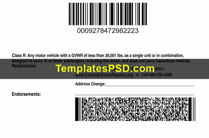 Colorado Drivers License Back template PSD