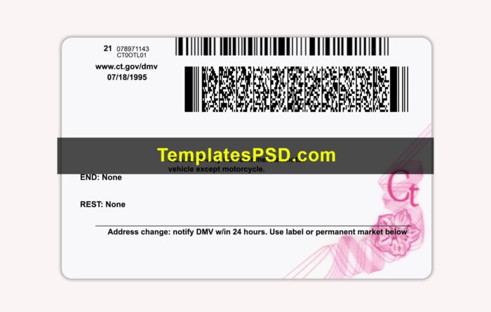 Connecticut Drivers License Back New PSD template