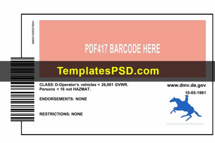 Delaware Drivers License Back PSD template