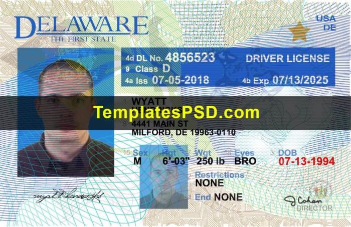 Delaware Drivers License Front New PSD template Delaware Drivers License Front PSD template