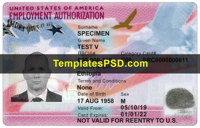 USA Employment Authorization Document Template PSD Front USA Employment Authorization Document Template PSD Front