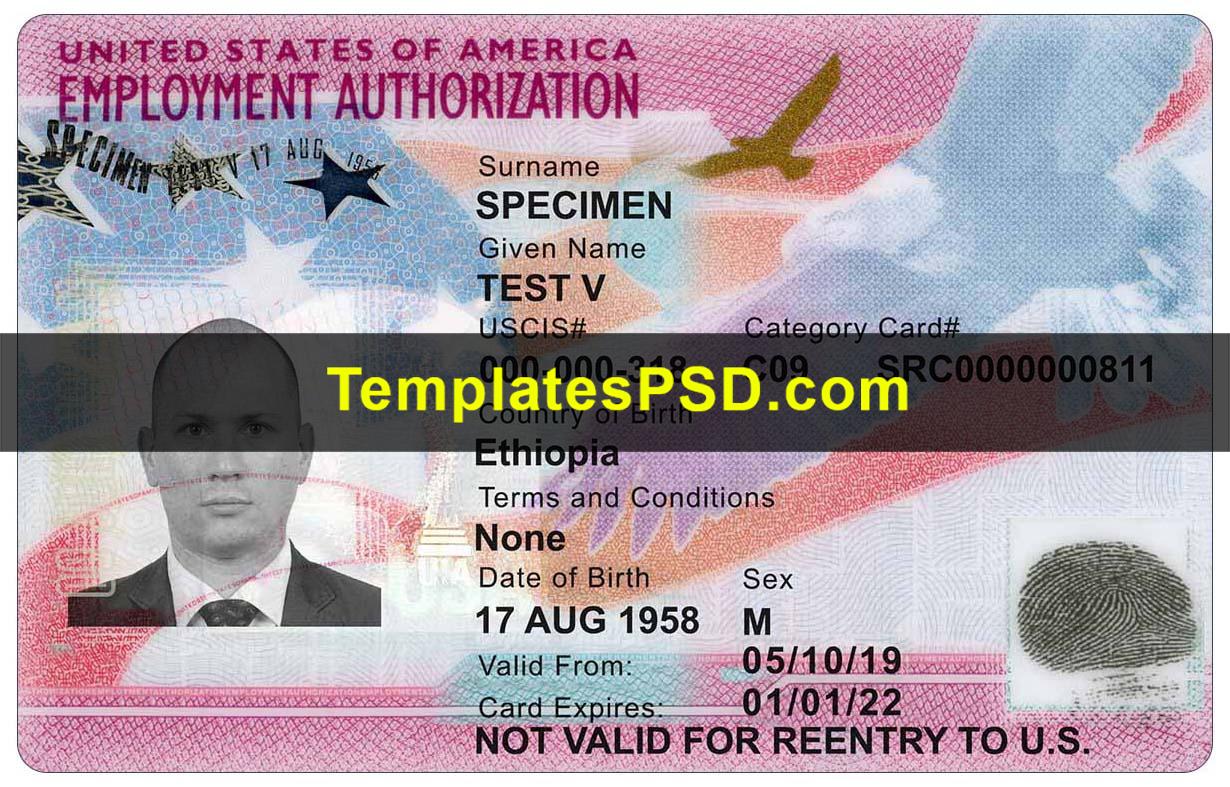 USA Employment Authorization Document Template PSD 2026