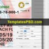 Florida Drivers License Template PSD HD