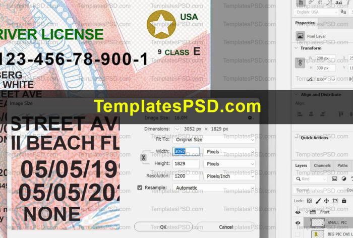 Florida Drivers License Template PSD HD