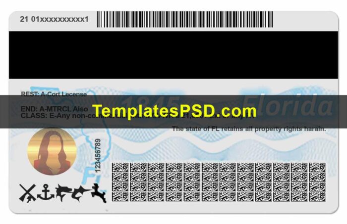 Florida Driving License Template PSD Back