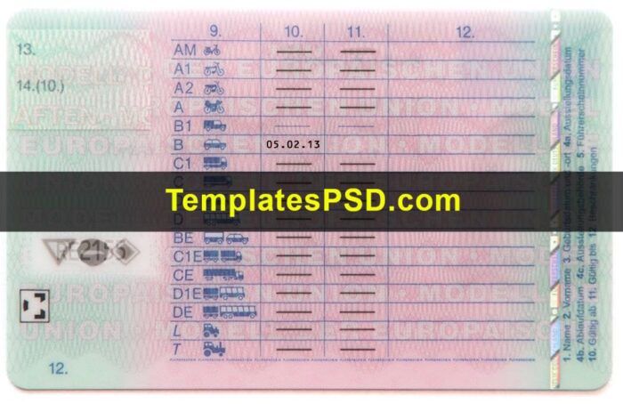 Germany Driver License Template Back Germany Driver License Template Back