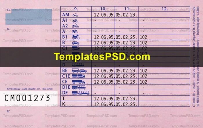 Hungary Driving License Template PSD Back