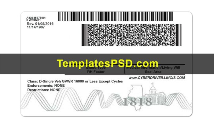 Illinois DL back Illinois Drivers License Template PSD back