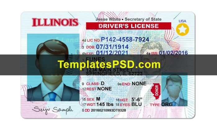 Illinois DL front Illinois Drivers License Template PSD Front