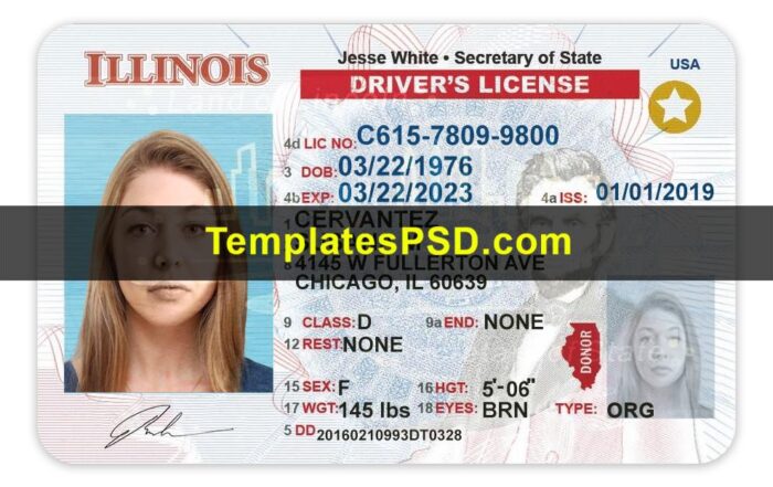 Illinois DL Selfie Template PSD