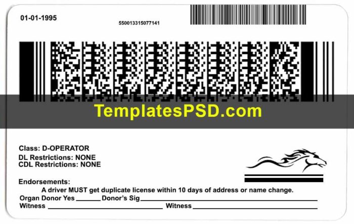 Kentucky Driver License Template Back