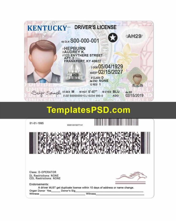 Kentucky Driver License Template Kentucky Driver License Template