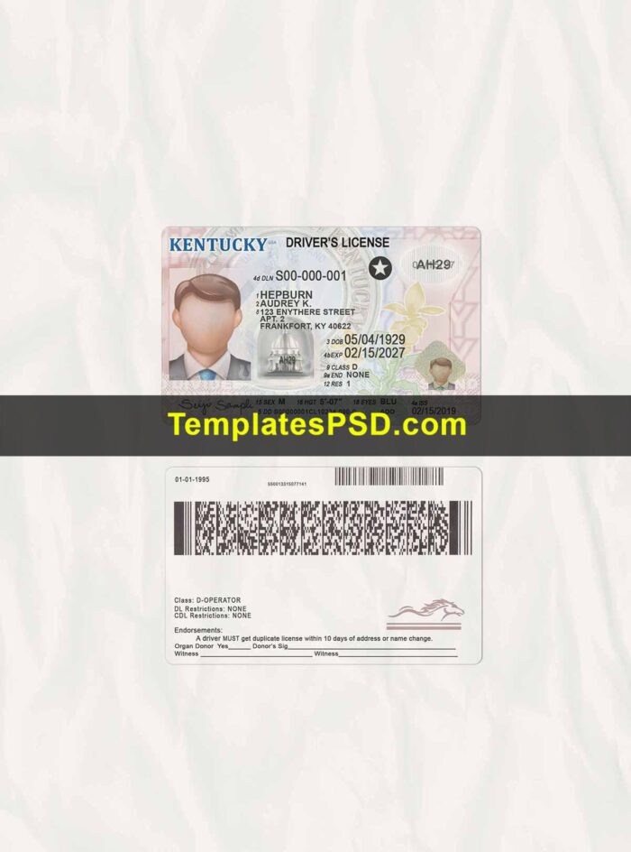 Kentucky Driver License Template Scan PSD