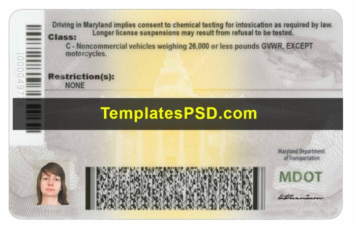 Maryland Drivers License Back New PSD template