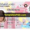 Maryland Drivers License Front New PSD template