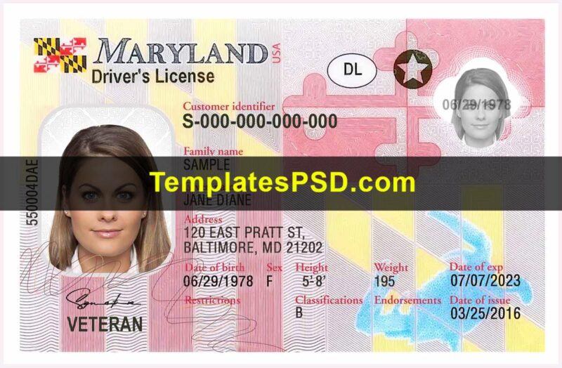 Maryland Drivers License Front New PSD template