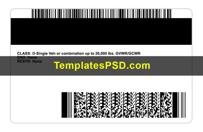 Minnesota Driver License Template PSD Back