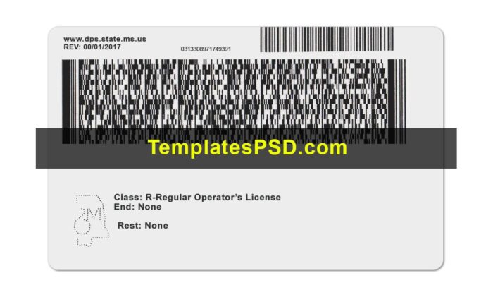 Mississippi back dl Mississippi back dl