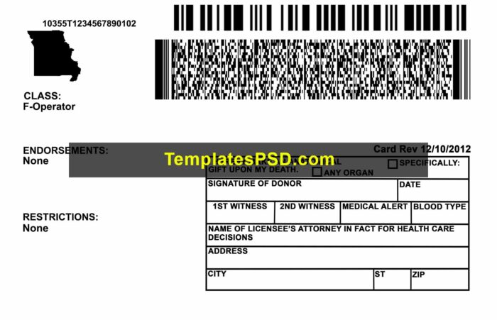 Missouri Driver License Template PSD Back