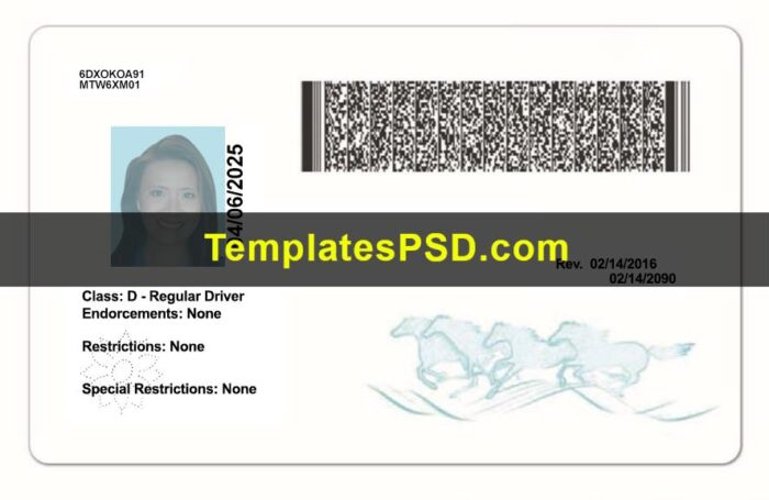 Montana Drivers License Template PSD Back