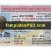 New Mexico Driving license template psd