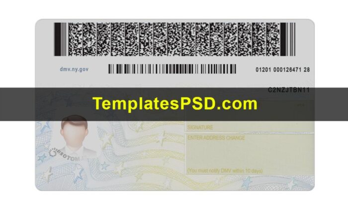 New York Drivers License Back template PSD