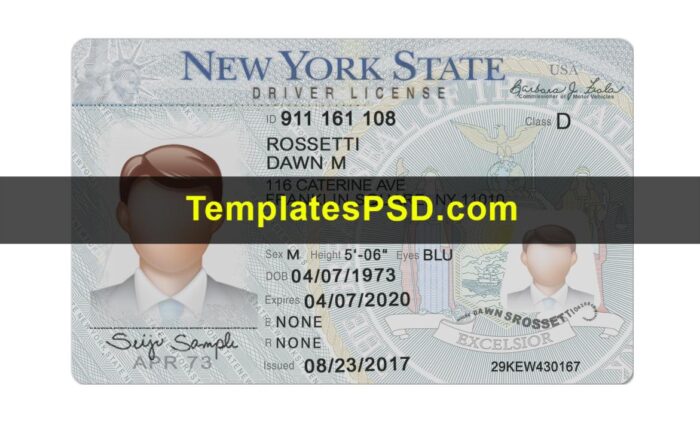 New York DL Front New York Drivers License Front template PSD