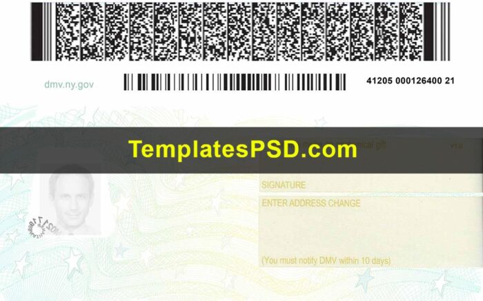 New York Drivers License Back template PSD
