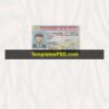 New Mexico Driving license template psd