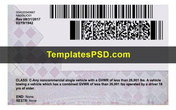 North Carolina Drivers License PSD Template Back new