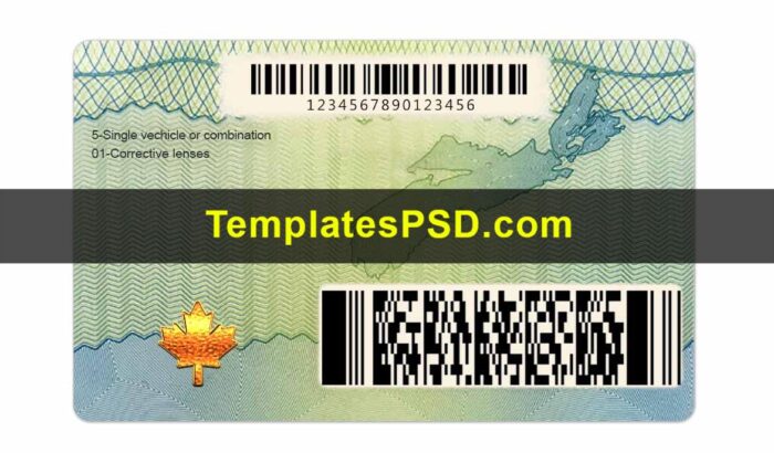 Nova Scotia Drivers License Template PSD Back