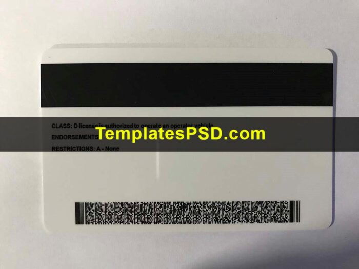 Ohio Driver License Template PSD Back Old