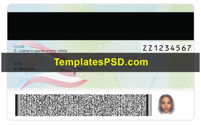 Ohio Drivers License PSD Template Back new