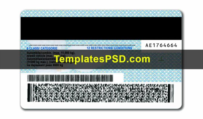 Ontario Drivers License Template PSD Back