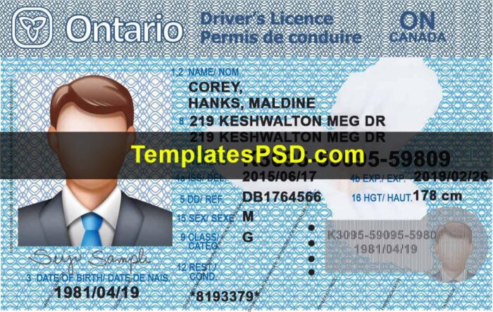 Ontario Drivers License Template PSD Front