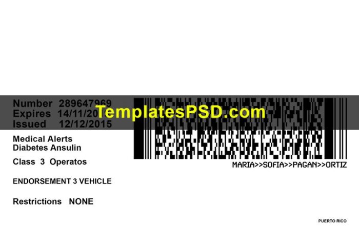 PUERTO RICO Drivers License Template New Back PUERTO RICO Drivers License Template New Back