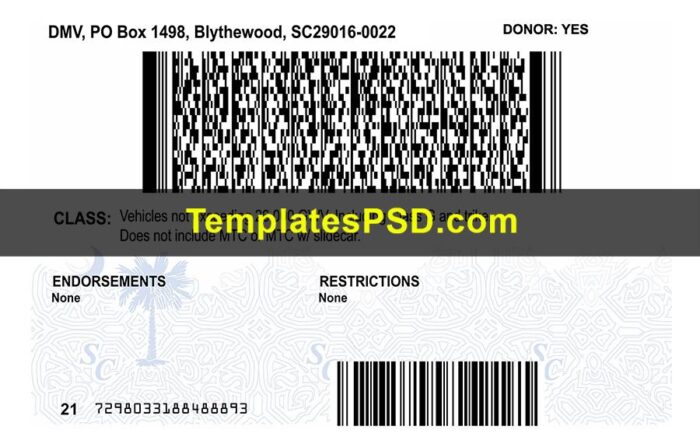 South Carolina Drivers License Template Back