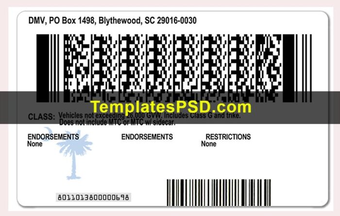 South Carolina Drivers License Template New Back