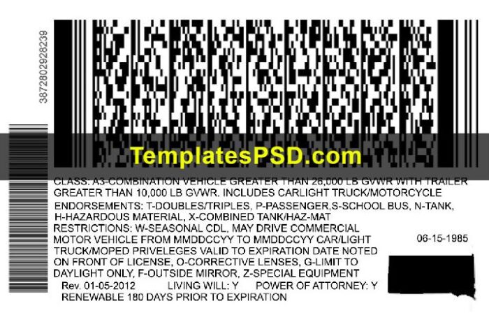 South Dakota Drivers License Template New Back