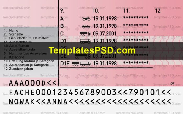 Switzerland Driving License Template PSD Back