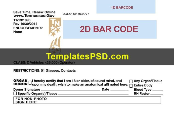 Tennessee Drivers License Template New Back