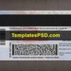 Texas Driver License New PSD Template Fake Back