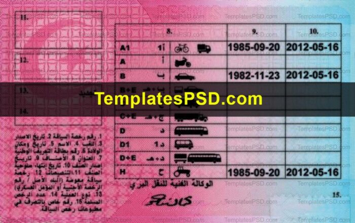Tunisia Driving license template psd back