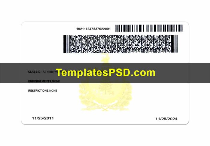 Vermont Driver License Template New Back