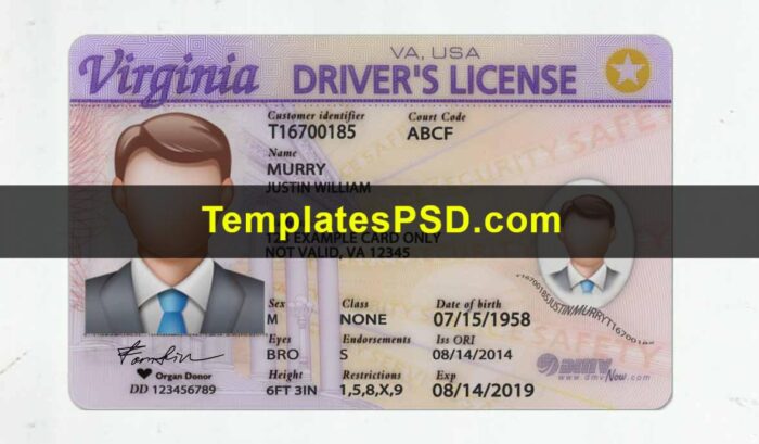 Virginia Drivers license template psd Front Virginia Drivers license template psd Front