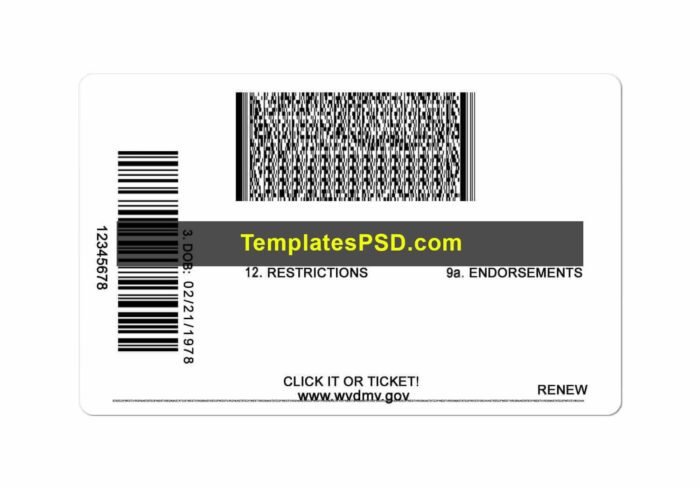 West Virginia Driver License New Back